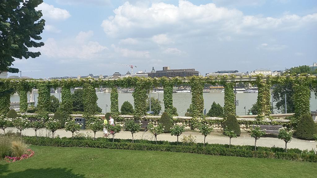 Donau (236)